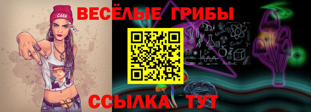 Псилоцибиновые грибы Psilocybine cubensis Ногинск