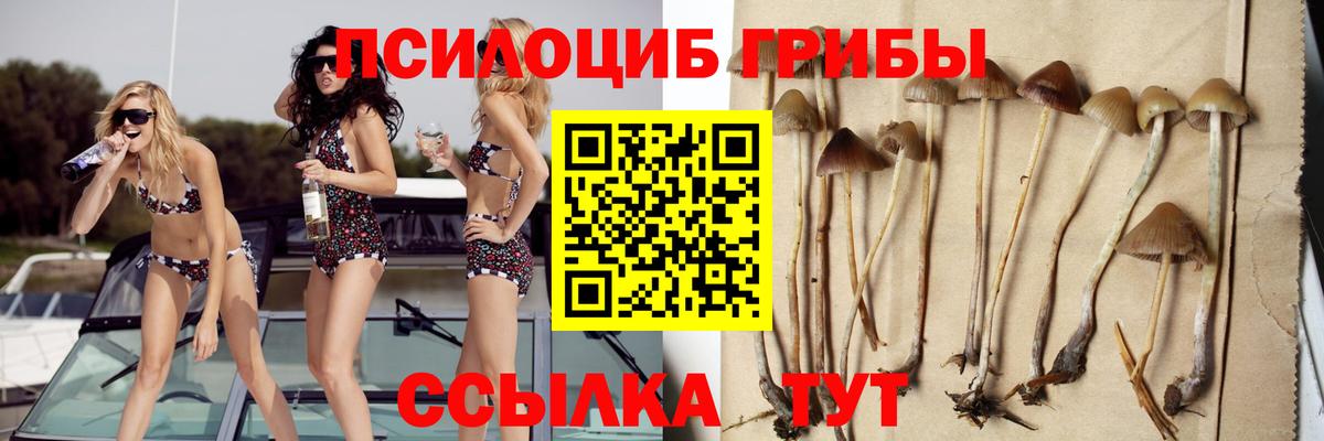Галлюциногенные грибы Cubensis  Вход с VPN  Псилоцибиновые грибы мицелий  Ногинск 