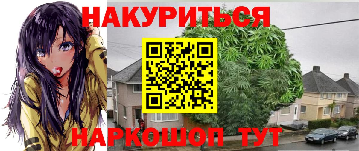 Бошки Шишки конопля  Шишки марихуана OG Kush  Марихуана SATIVA & INDICA  Ногинск  Вход с VPN  Бошки Шишки ГИДРОПОН 